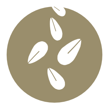 IconoAlergenoGranosSesamo SesameGrains icon icons.com 67599 e1719308268269